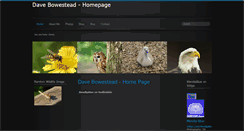 Desktop Screenshot of bowestead.com